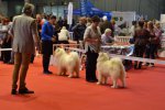 Meilleur de Sexe Opposé Pontoise 2015